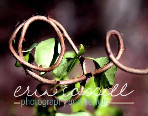Wild Vine